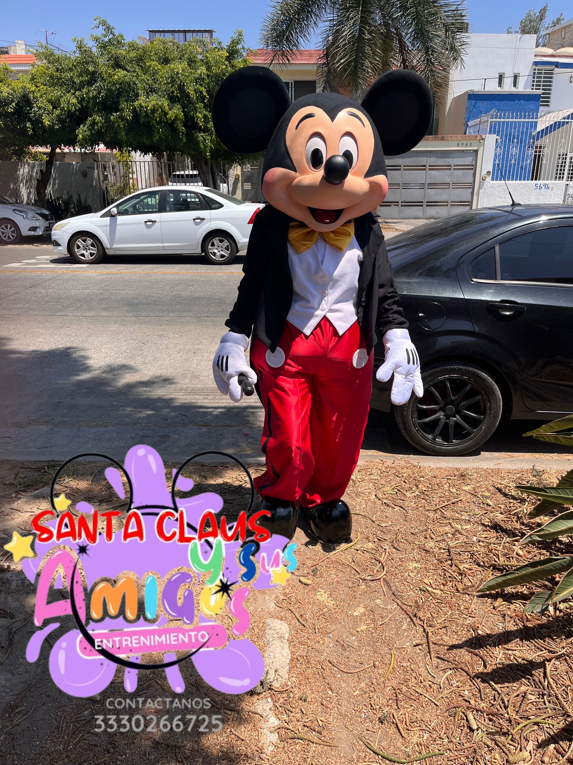 MICKEY O MINNIE MOUSE EXPRESS